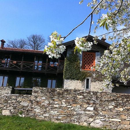 Il Ciliegio Selvatico Appartement Verbania Buitenkant foto
