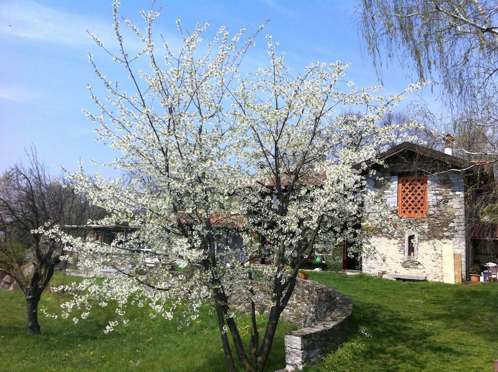 Il Ciliegio Selvatico Appartement Verbania Buitenkant foto