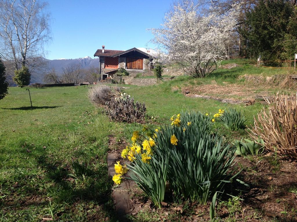 Il Ciliegio Selvatico Appartement Verbania Buitenkant foto